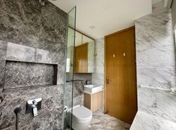 The Peak @ Cairnhill II (D9), Apartment #479880431